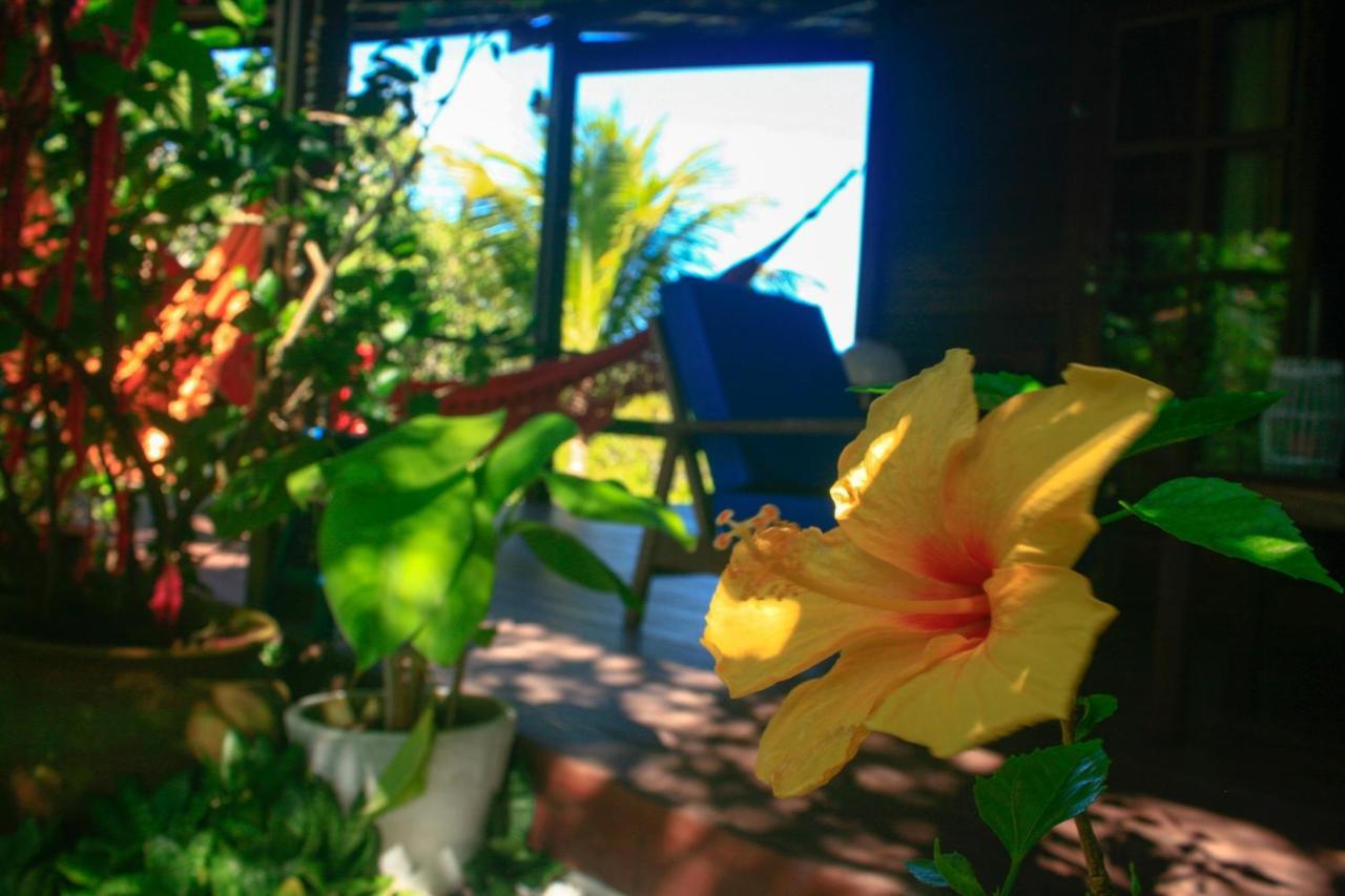 Villa Maree Praia de Pipa Экстерьер фото